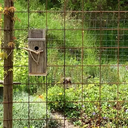 Bergliot 3* Hundested