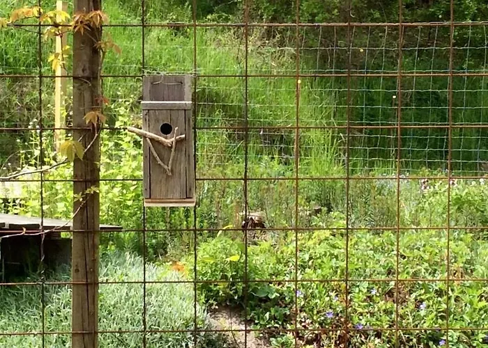 Bergliot 3* Hundested